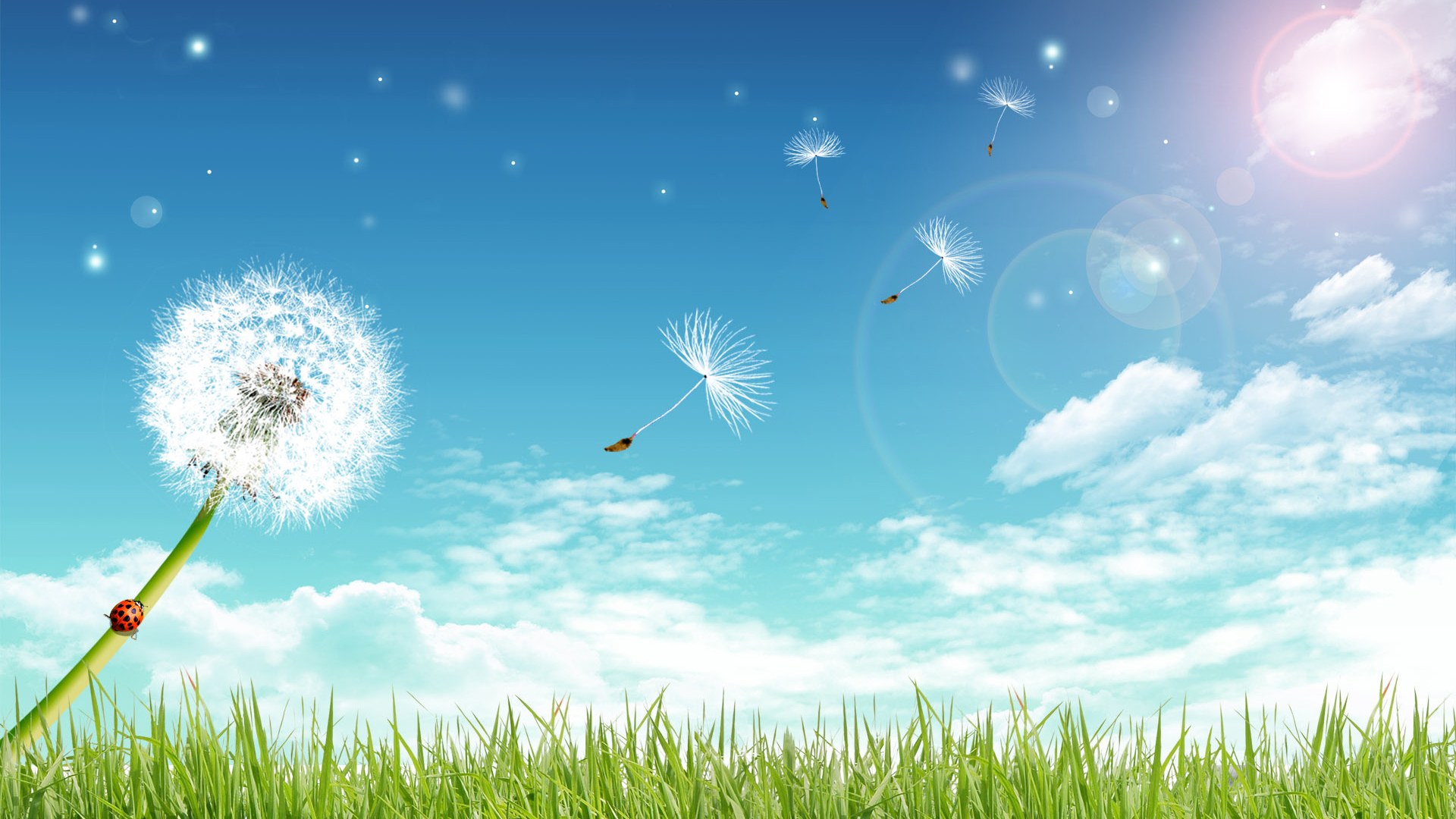 background-pictures-13-2